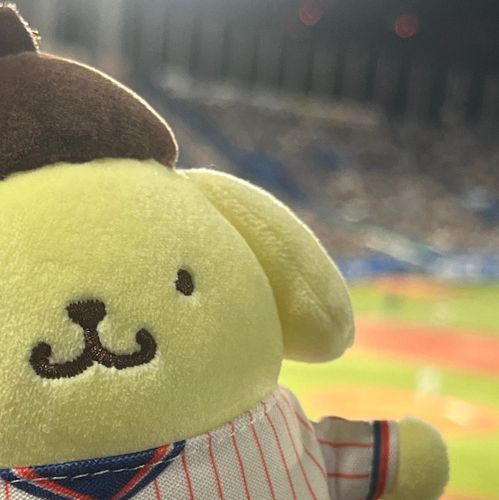 ユニフォーム着たポムポムプリンとの思い出です🍮⚾️✨