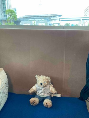先日の話しをあむテデ君から聞いたんだが、帰りは国際展示場から新橋までバスで帰ったらしい。家主からバスの席に座るあむテデ君の写真を見せてもらった。