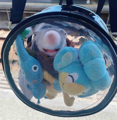 お出かけ中に、お外が見えるようになりました。