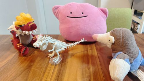 よさそうなすみかを見つけて、ガチゴラスさんが来たみたいです。