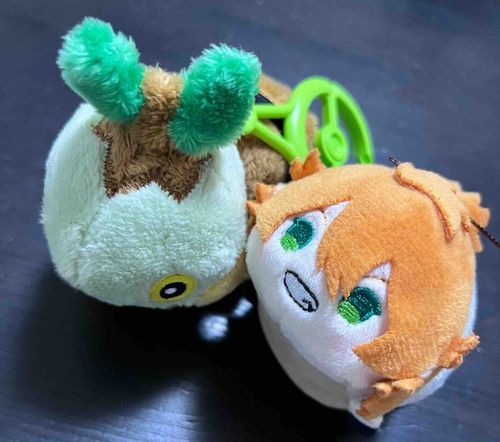 🐢あるじさんのところにけんげんしたよー！こっちはおなじひにきたかめきち！
だいぶでかいけどおれのかめきちだよ！
よろしくね！
