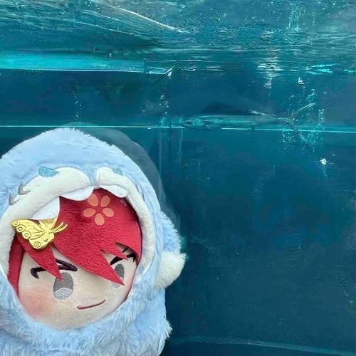 🦋ばしょうかじきにあってきたぞ！げんきにすごせよ！！！！