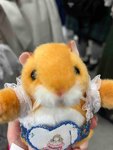 ぬい博で買ったハーネスが嬉しいらしい。自撮りのお手伝い。with五郎
