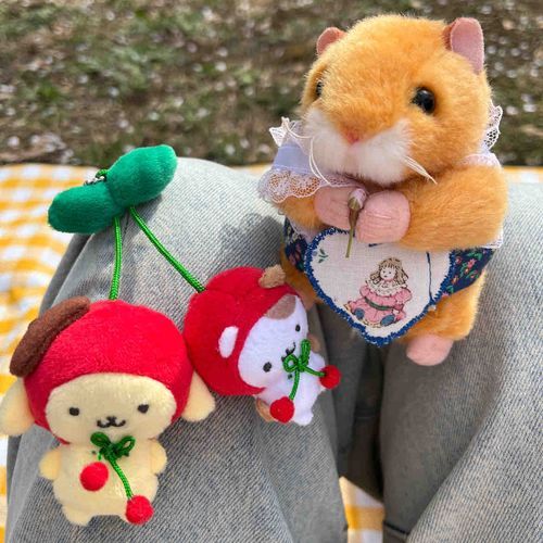 お花見楽しかったね👒風で蕾が落ちてきたから、五郎にプレゼントしました🌸
with五郎、プリンとマフィン🍒