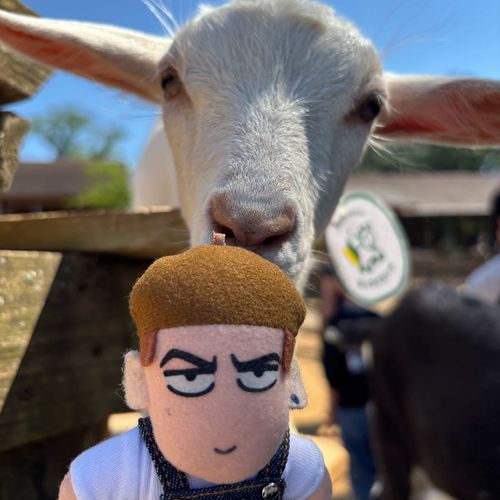 かわいいスね🐐