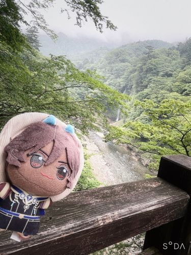 回顧の滝を観てきた時の写真です
流れる滝がカーテンのようで美しかったのですが静止画だとなかなか伝わらないですね…