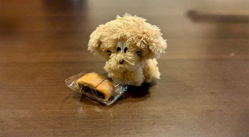 ようかんが中に入ったなぞの和菓子でした。
おいしかったです。