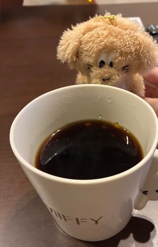 能登のコーヒー☕️
