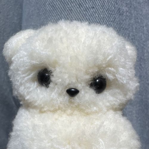 しょんぼりなポメラニアンです
たまにお友達も登場します