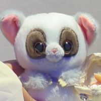 ショウガラゴのらごくん