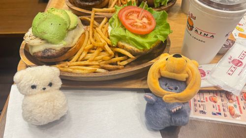 お友達とハンバーガーを食べてきました
あぼかど、カロリーが高いらしいです