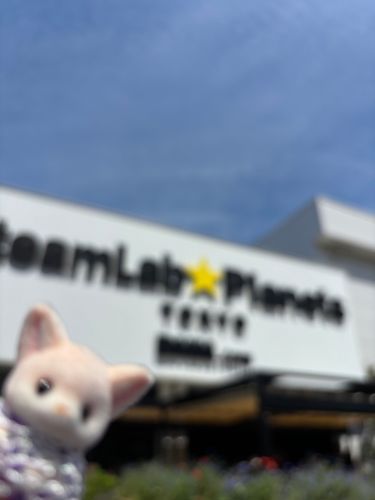 いってきたよー！