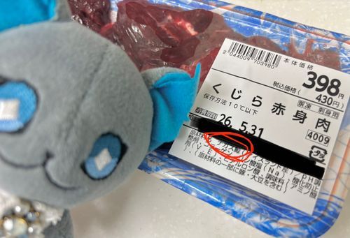 ぜいたくはダメっていってたのに、ナガスってやつだってわかったらカゴにいれたんだぞ！