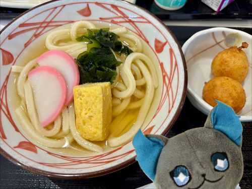きょう、Eはこどもも　こどもセットとふつ　うこうかんしてたんだぞ。くいもんはおおいほうがいいのにいみわかんねーぞ？
