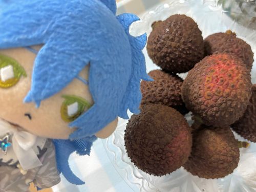 なまらいち　らし
