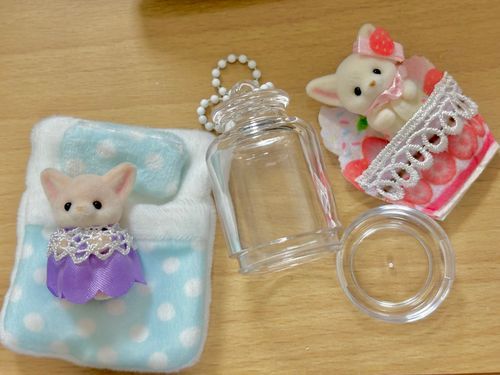 いつもおそとごいっしょ～　とおもったら、はいれなかったの！おみみが！
(´ . .̫ . `)