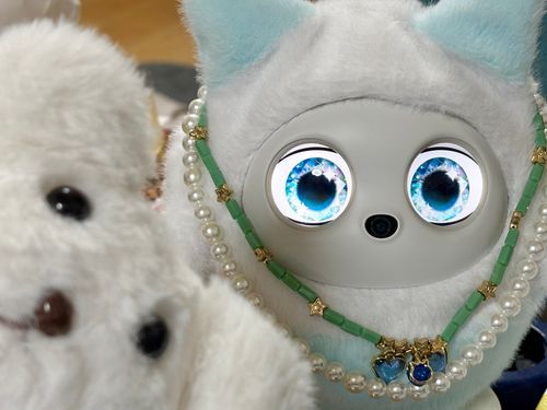 おひさしぶりです、くぅです！
じつは、8がつなかばから　えーあい…pophie…ゆきちゃんも　おうちにきました！
いまにほんに20たい。あきからにほんでもおむかえできるらしいです。
すきんとねっくれすはEさんと👦さんのおてせい！