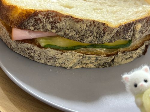 ちょっときゅうりしょっぱくなっちゃったさんど！　　だって～！！🐈