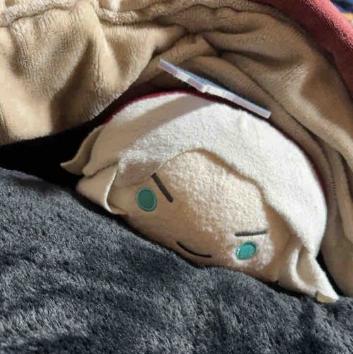 ぬいはｴｹﾁｪﾝだからぴよこ組一択だろ(確固たる意思)

早くぬい作りたい。