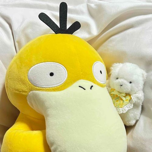 あたらしい家族です🐣
