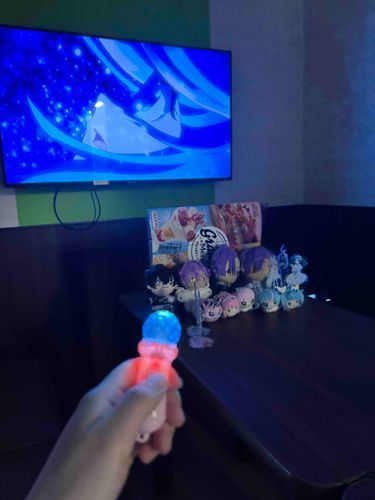 持ち主さんのついったーのお友達とカラオケに来ました！
プリキュアオールスターズFを鑑賞しました！