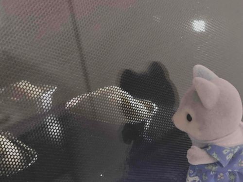 深夜のおかしは 罪ですね