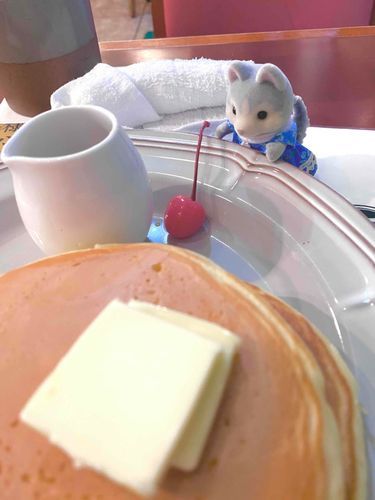 ぱんけーきを 喫しましたよ