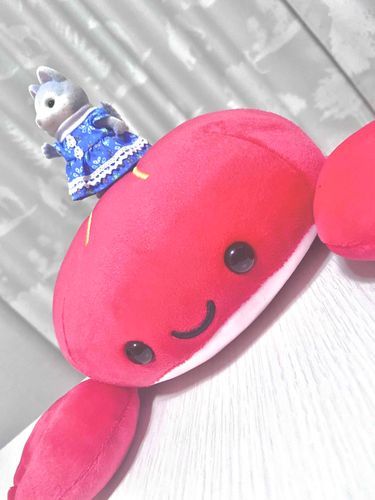 あたらしいおともだち
かにみそ さんが お背中にのせてくれました。
このまま 海の王になりますよ