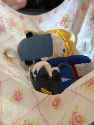 深夜に　とつぜん　洗われた
無体の　証拠　写真

もちちか