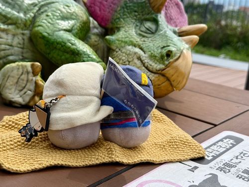 おこすなよ　そっと、そっとだぞ

もちんば