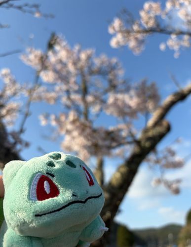 お花見 たのしかったです
トレーナーさん、花より だね みたいです