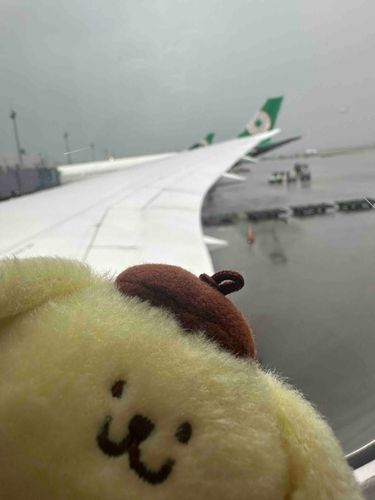 謝謝、台湾🇹🇼☔️
久しぶりだったけどやっぱり良い国