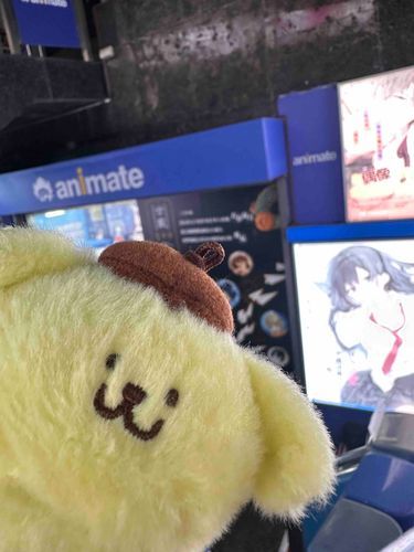 ✮*｡ﾟ旅の思い出✮*｡ﾟ
日本と同じだったアニメイト🇹🇼