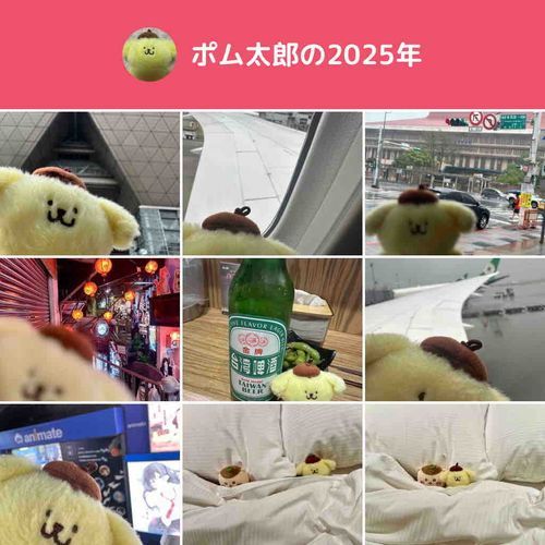 あまり連れて行けなかったな💦
皆さま良いお年を(ᐡ• ·̫ •ᐡ)✮*｡ﾟ