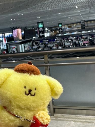 行ってきまーす✈️