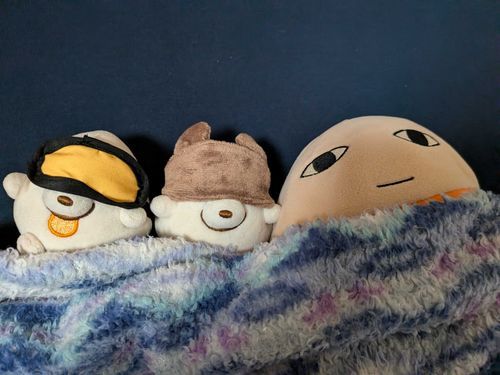 プク「ｸﾞｰｸﾞｰｽﾔｽﾔ」