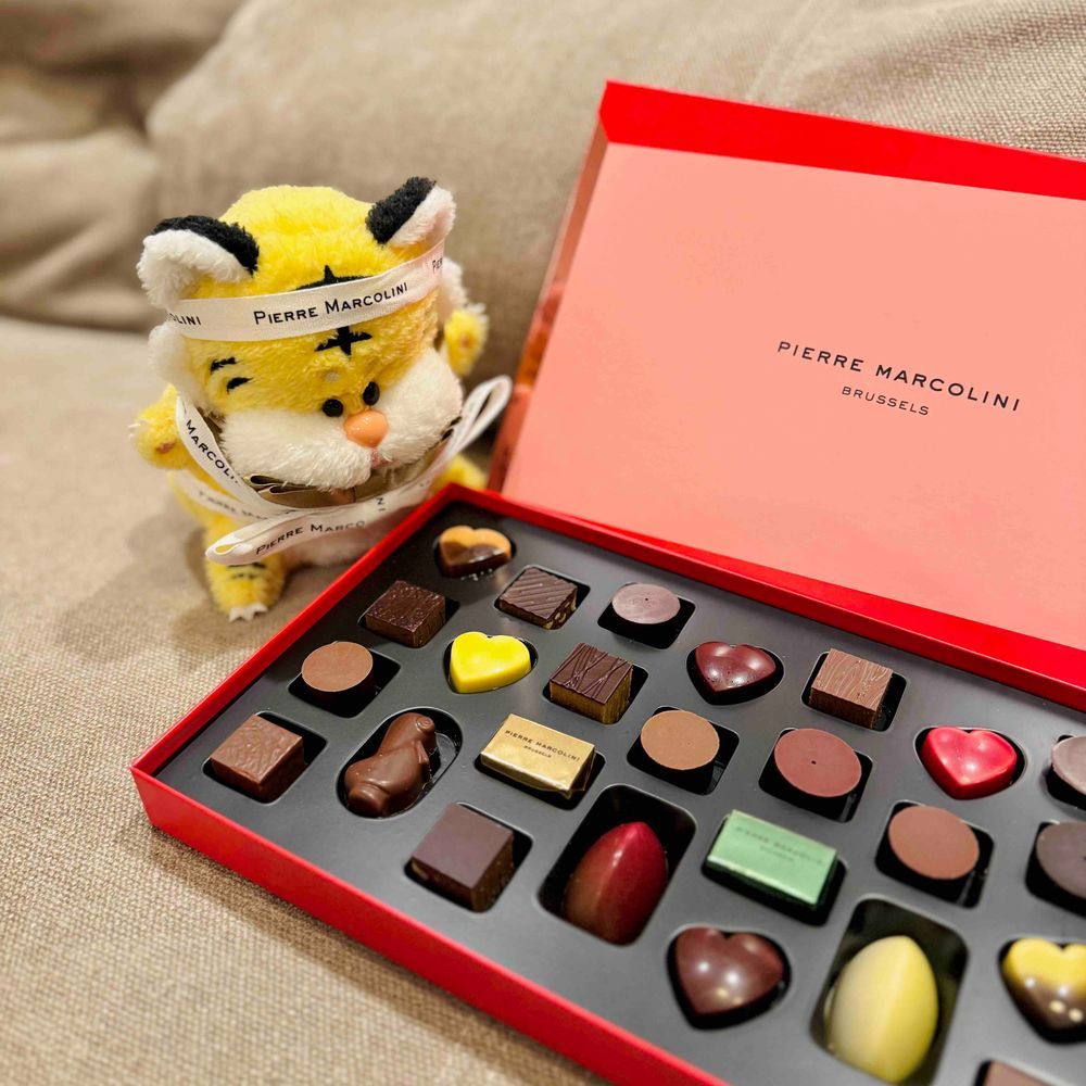 ピエール マルコリーニのチョコを食べたよ🐯もうほんとにおいしすぎる…！🤩お高いからちょっとずつ食べたいけど、手が止まらない🍫😋
