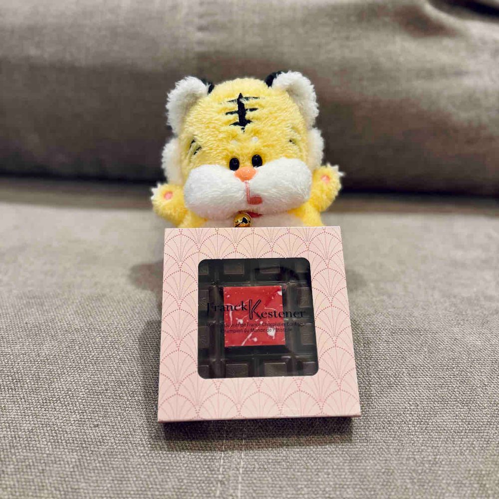 バレンタインチョコを買ってきたよ🐯9個も買っちゃった！今日はフランク・ケストナーのタブレットを食べたよ🍫中にミルクチョコのガナッシュとイチゴジュレが入ってておいしかった〜！🍓