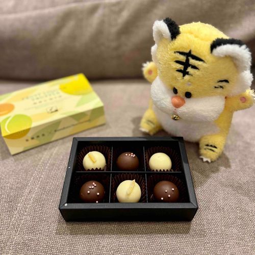 梅酒と柚子酒のチョコを食べたよ🐯おいしかった〜🍫
