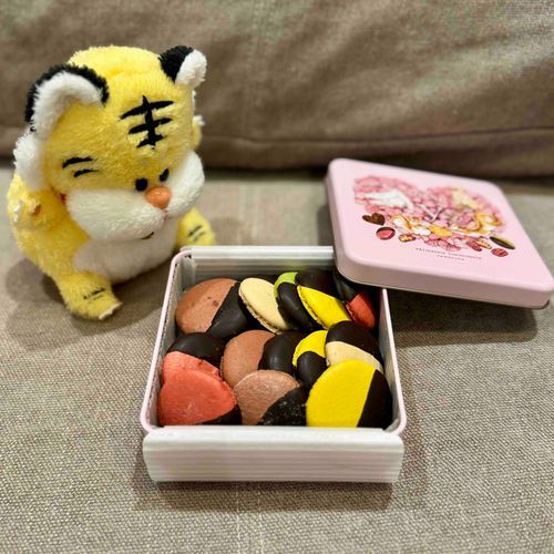 最近毎日チョコを食べてるとらのすけです🐯今日はパティスリー雪ノ下のマカロンチョコを食べたよ🍫二度焼きしたメレンゲの部分だけのお菓子！とってもおいしかった〜！