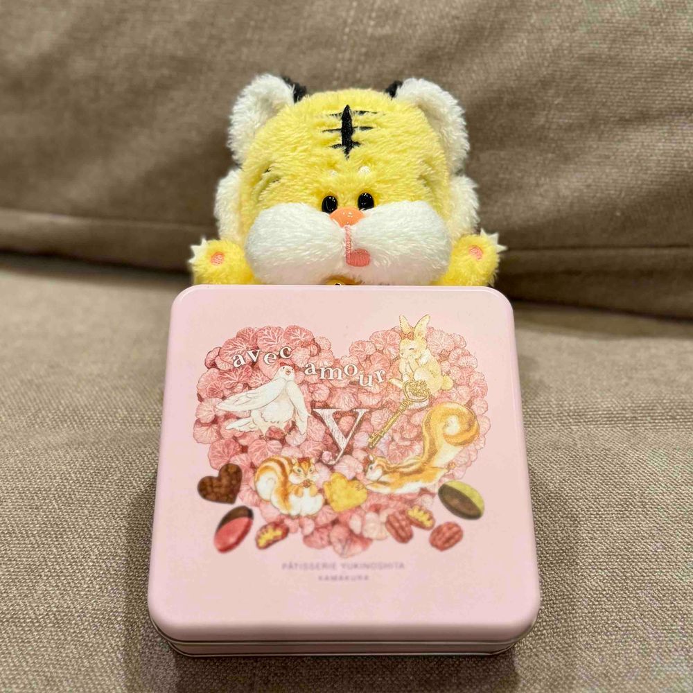 最近毎日チョコを食べてるとらのすけです🐯今日はパティスリー雪ノ下のマカロンチョコを食べたよ🍫二度焼きしたメレンゲの部分だけのお菓子！とってもおいしかった〜！