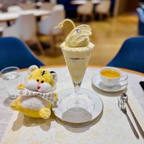 ハッピーバレンタイン❣️資生堂パーラーのホワイトチョコパフェを食べたよ🐯とってもおいしかったー！チョコだけじゃなくて、中にフランボワーズソルベや紅茶のビスキュイとかも入ってて幸せだった…🤍🦢