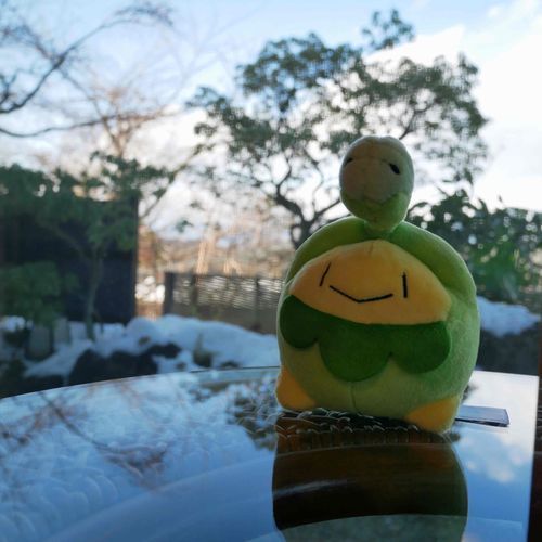 初めて雪みたね