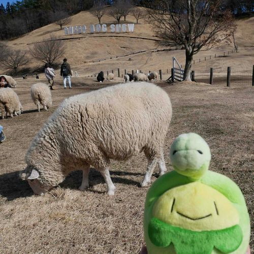 かわいかったね