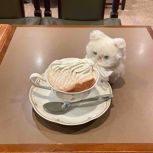 今日の飼い主はココアの気分ね