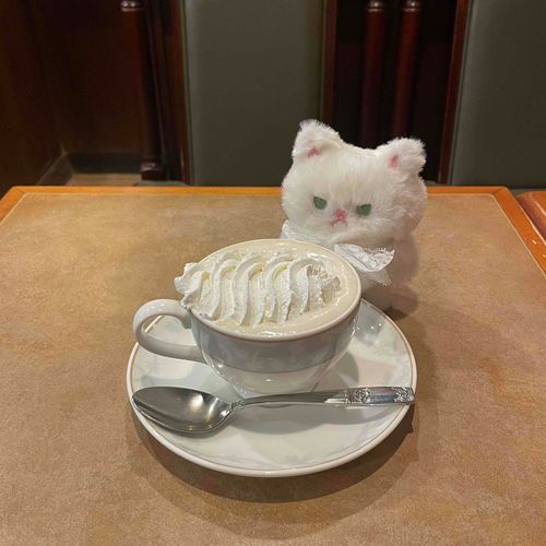 飼い主と今日もここでまったり