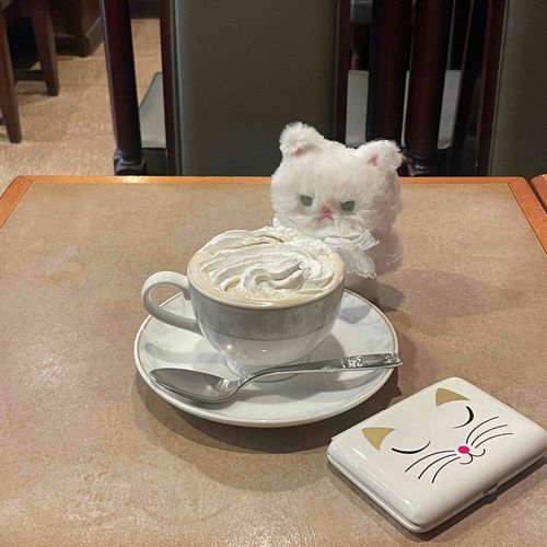 やっぱりここのウインナーコーヒーが1番だね〜
そっくりねこちゃん発見🐾