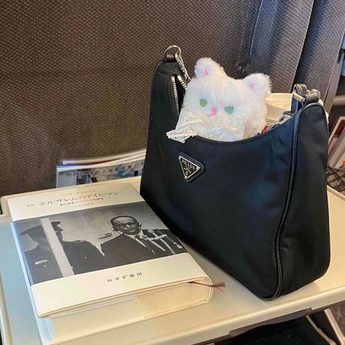 帰省について来たよ