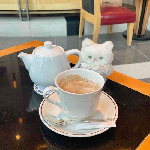 飼い主いっつもカフェラテ