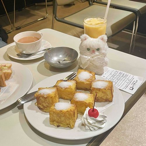 飼い主、最近喫茶店によく行くからついて行ってる